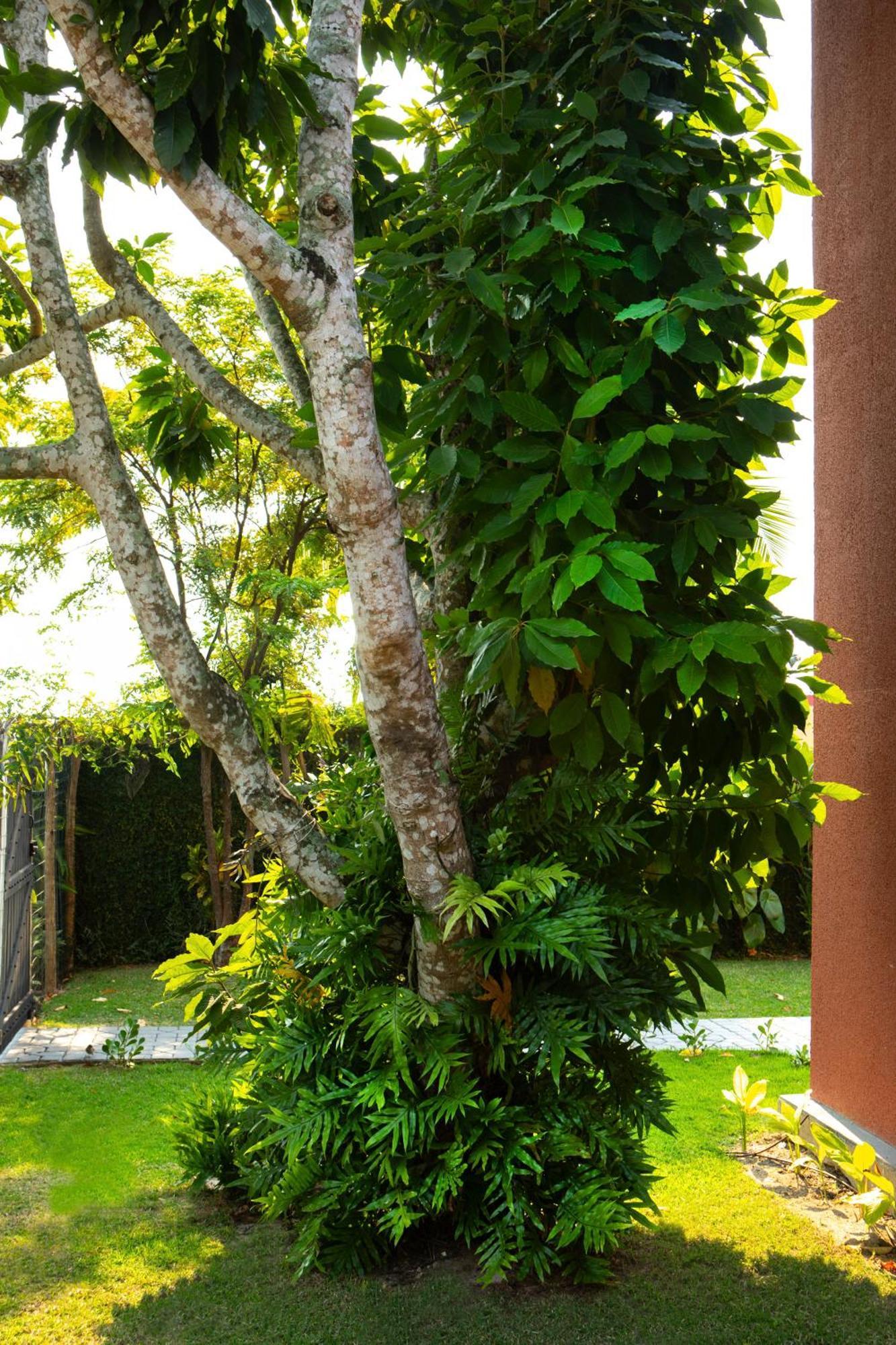 Casas Aconchegantes Com Piscina Na Encantadora Praia Das Cigarras Villa Sao Sebastiao  Exterior photo